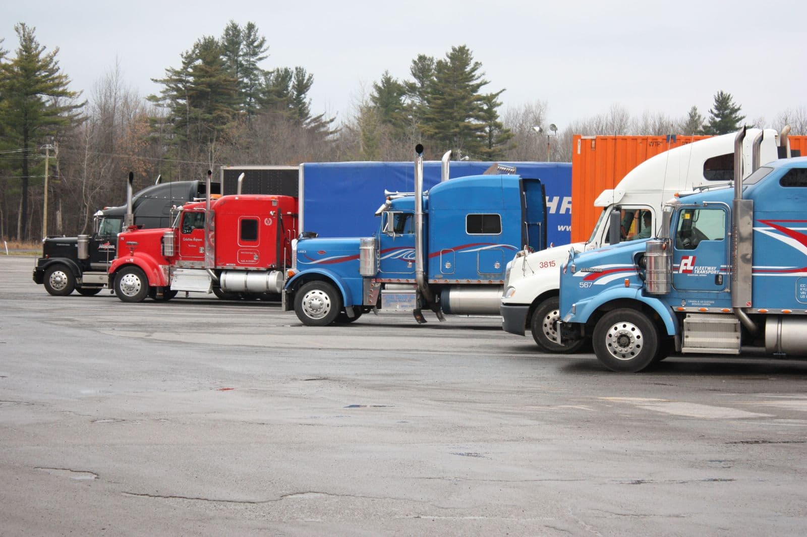 Multiple semi trucks in vivid colors parked outdoors in a spacious lot.
